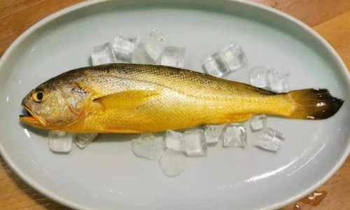 青枣的营养价值及功效-青枣的营养价值表专区_新鲜青枣的营养价值专区_青枣的营养价值网